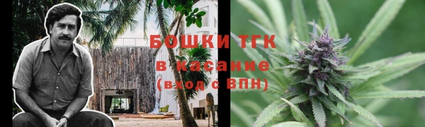 каннабис Корсаков