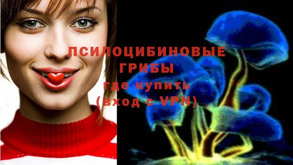 мет Козловка