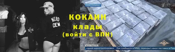 прущие грибы Кодинск