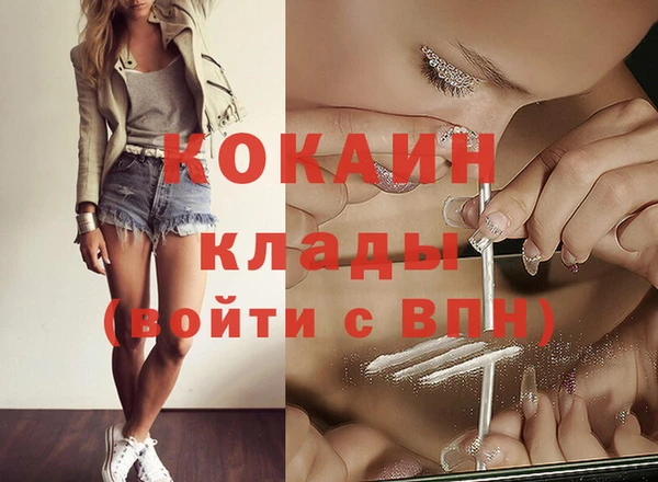 прущие грибы Кодинск