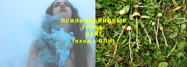 apvp Санкт-Петербург