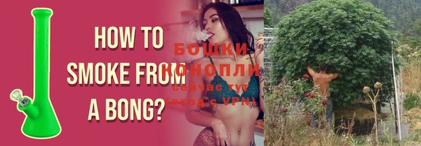 ПСИЛОЦИБИНОВЫЕ ГРИБЫ Новосибирск
