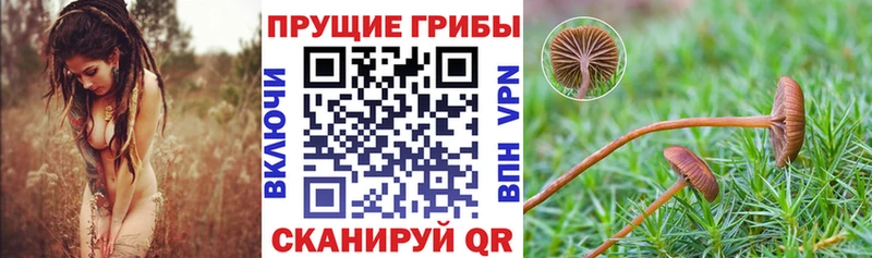Псилоцибиновые грибы Magic Shrooms  Нерехта 
